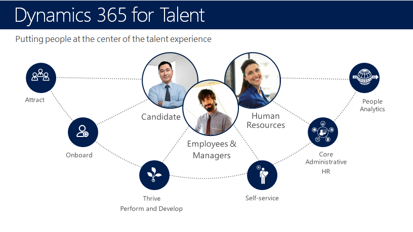 Dynamics 365 for Talent structure